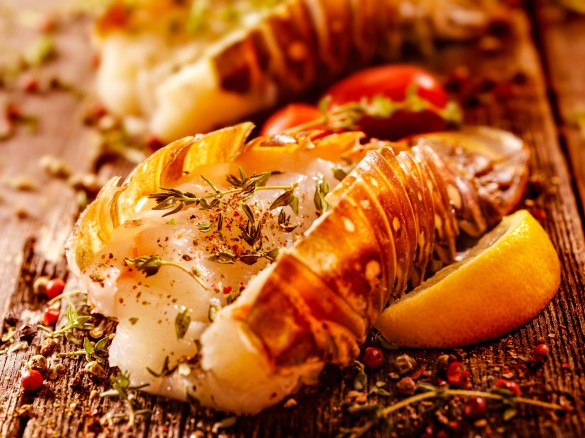 Antigua Kulinarisch Lobster Seafood