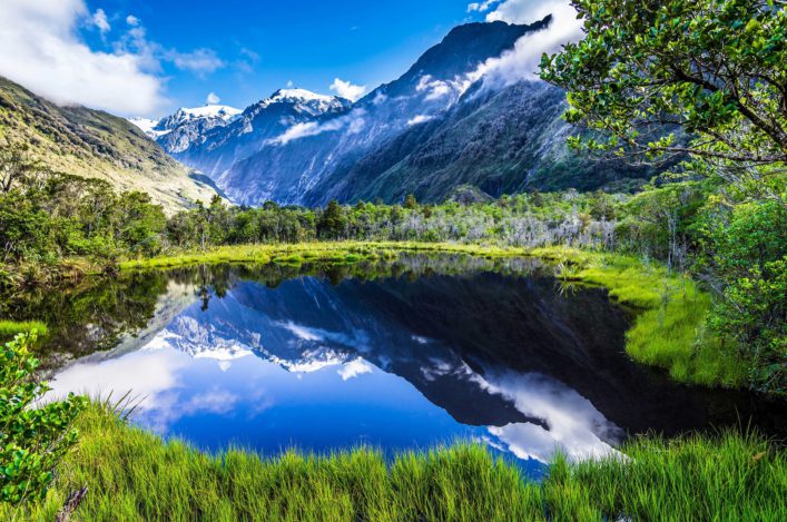 Peters Pool with a look towards the Franz Josef Glacier