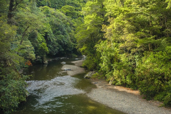 rivendell-pakuratahi-river-new-zealand-shutterstock_166229756-2-707x471