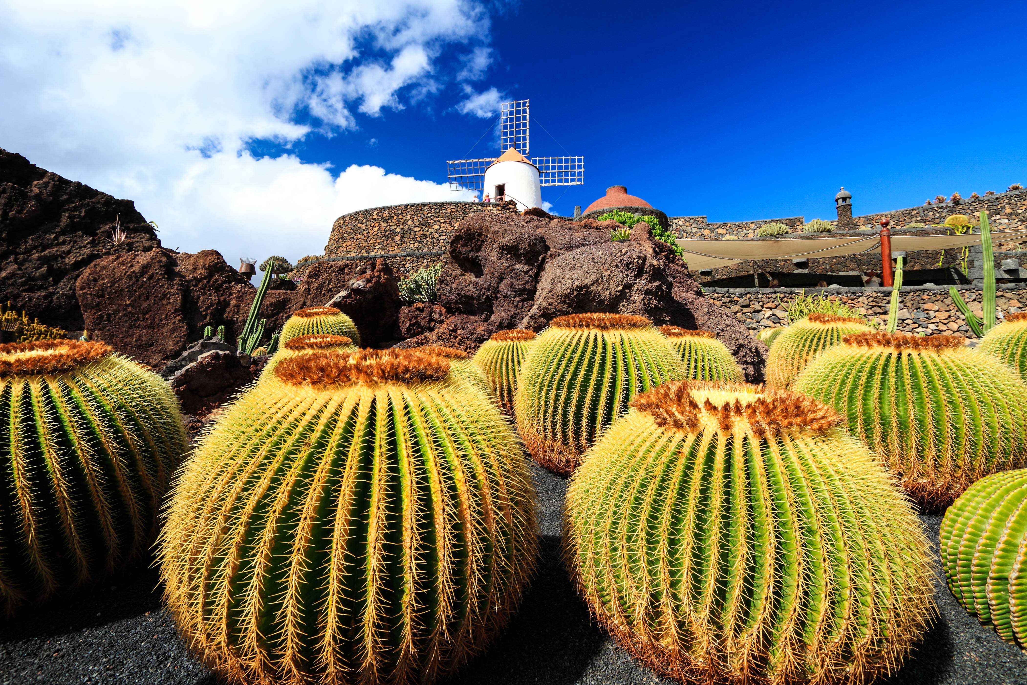 Lanzarote Tipps
