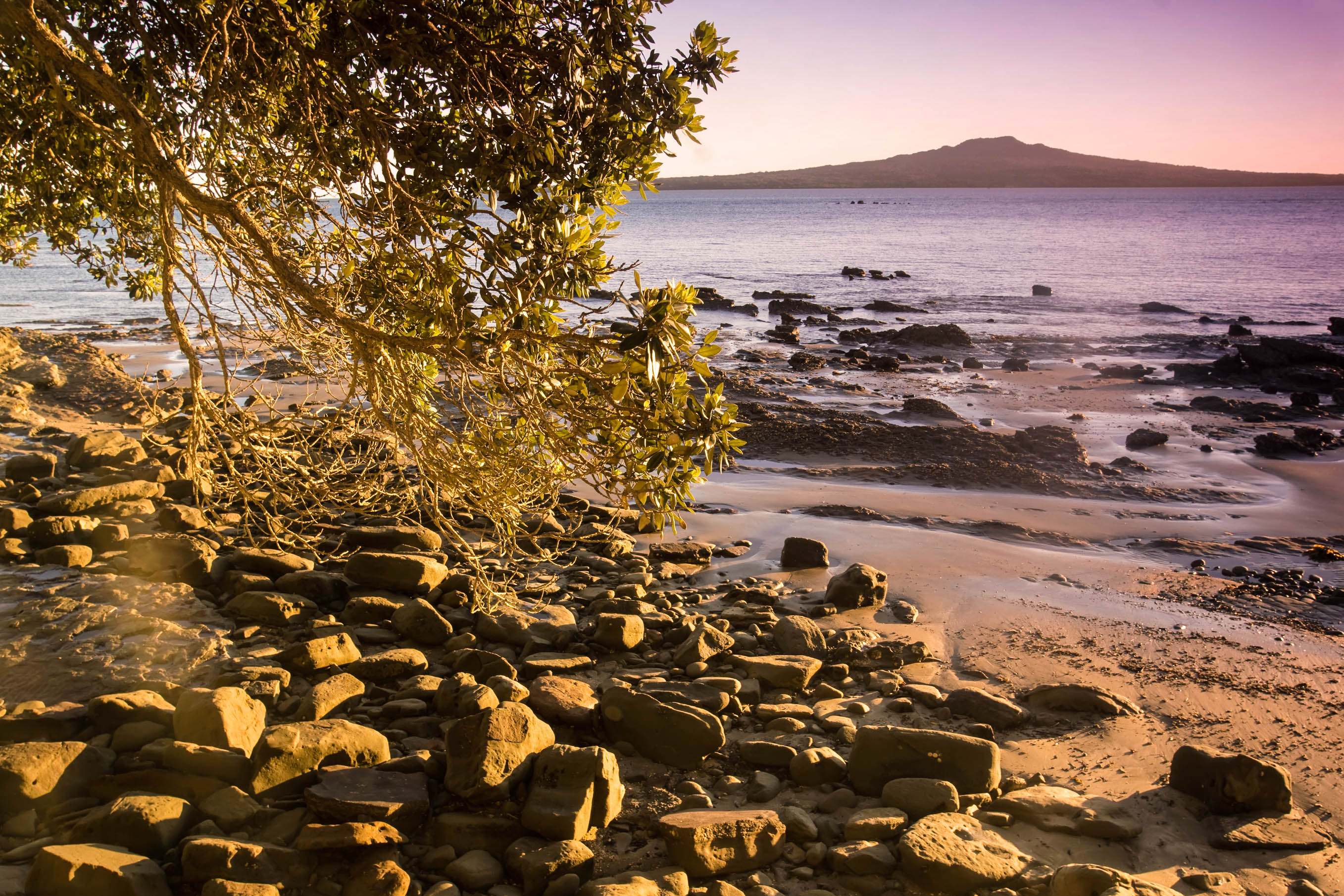 Rangitoto Island Auckland Tipps