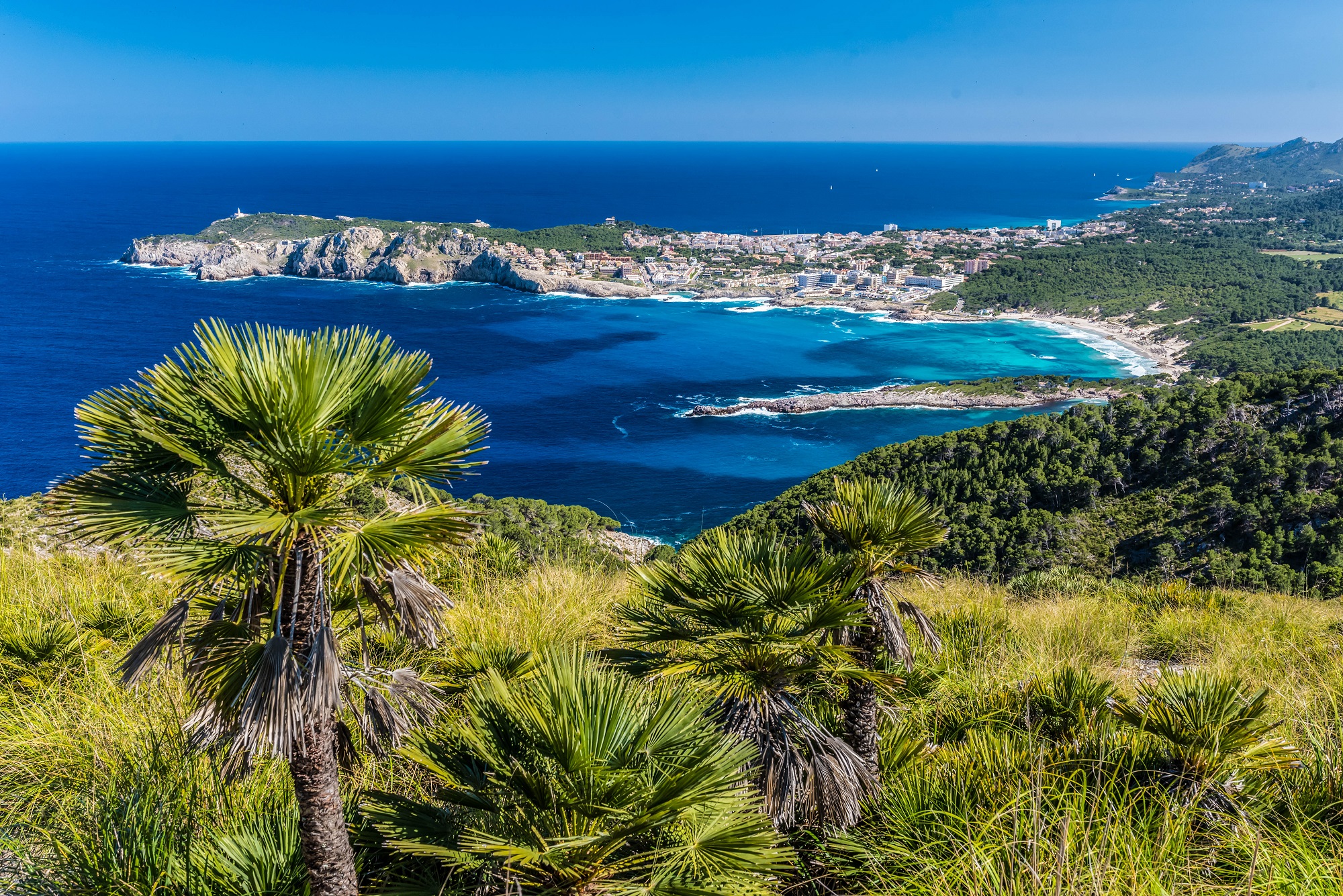 vegan reisen mallorca
