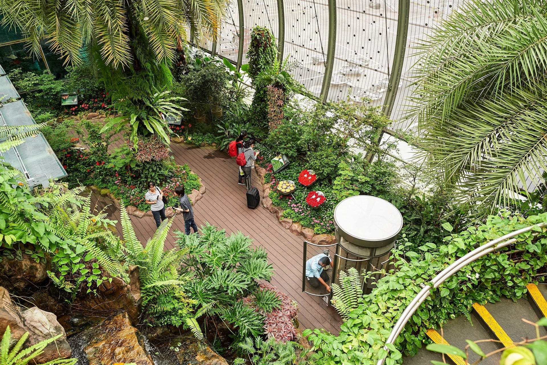 Absurde Dinge an Flughäfen - Das Tropenhaus Singapur