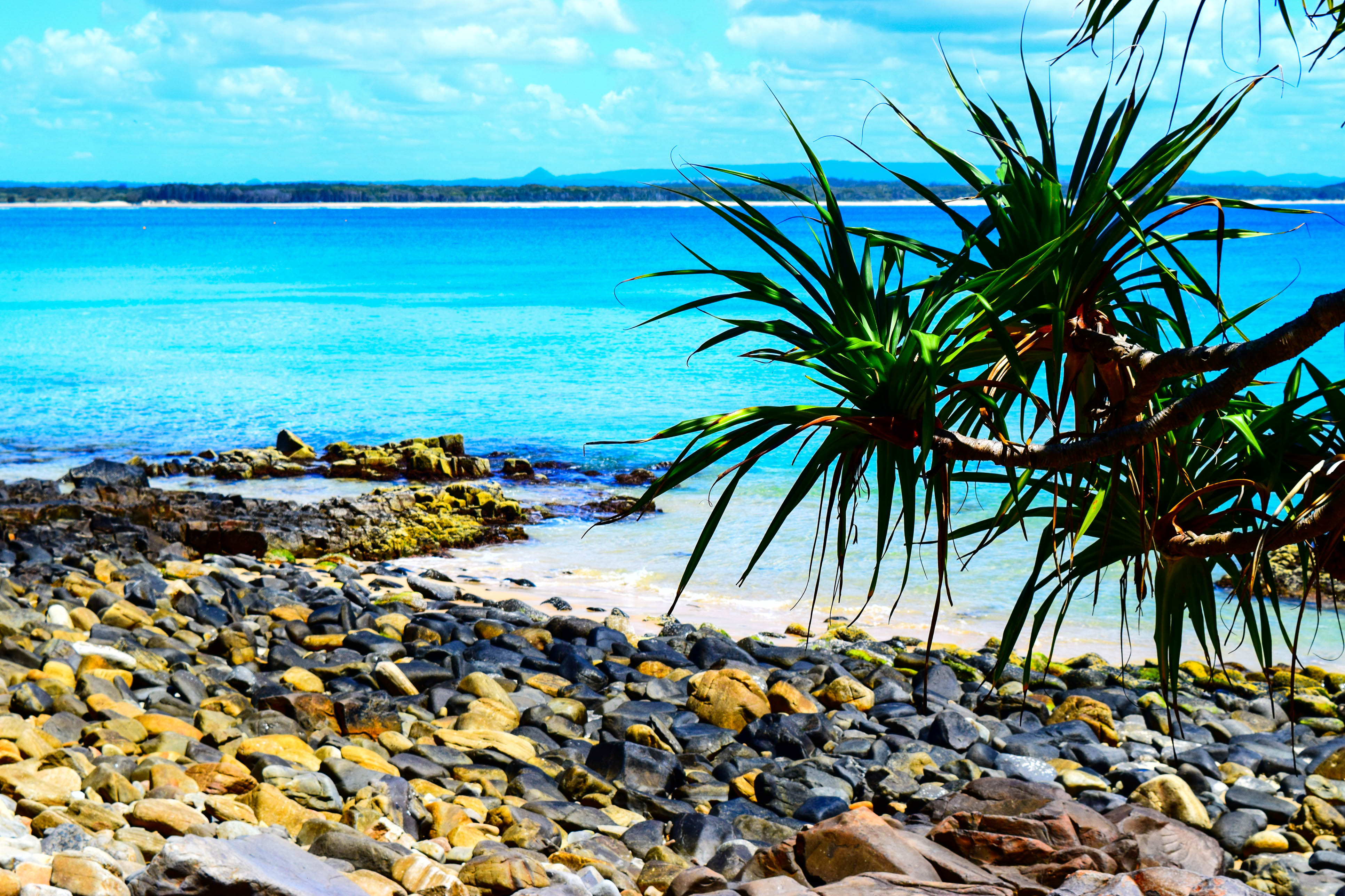 Der Strand von Noosa, Australien