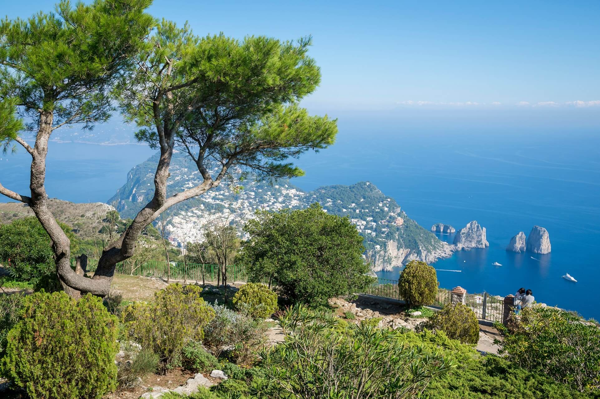 Mediterrane Landschaft auf Capri, Italien: Im Vordergrund Pinien und Sträucher, links Baum, dahinter blaue Küste. In der Ferne ragen die berühmten Faraglioni-Felsen aus dem Meer.