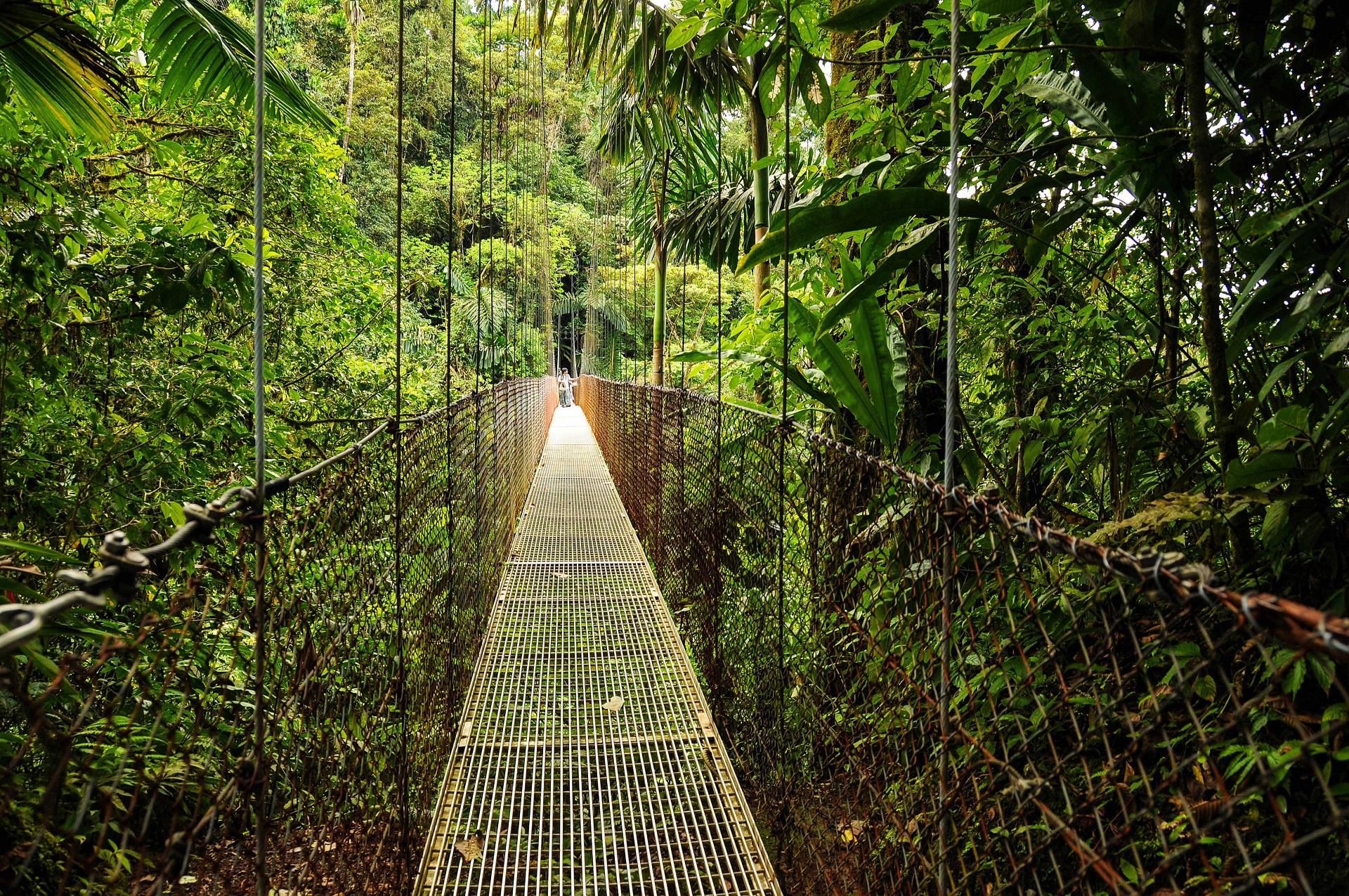 Hängebrücke im Nationalpark des Vulkans Arenal in Costa Rica.