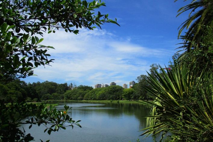 Dem Grossstadttrubel entfliehen im Parque do Ibirapuera