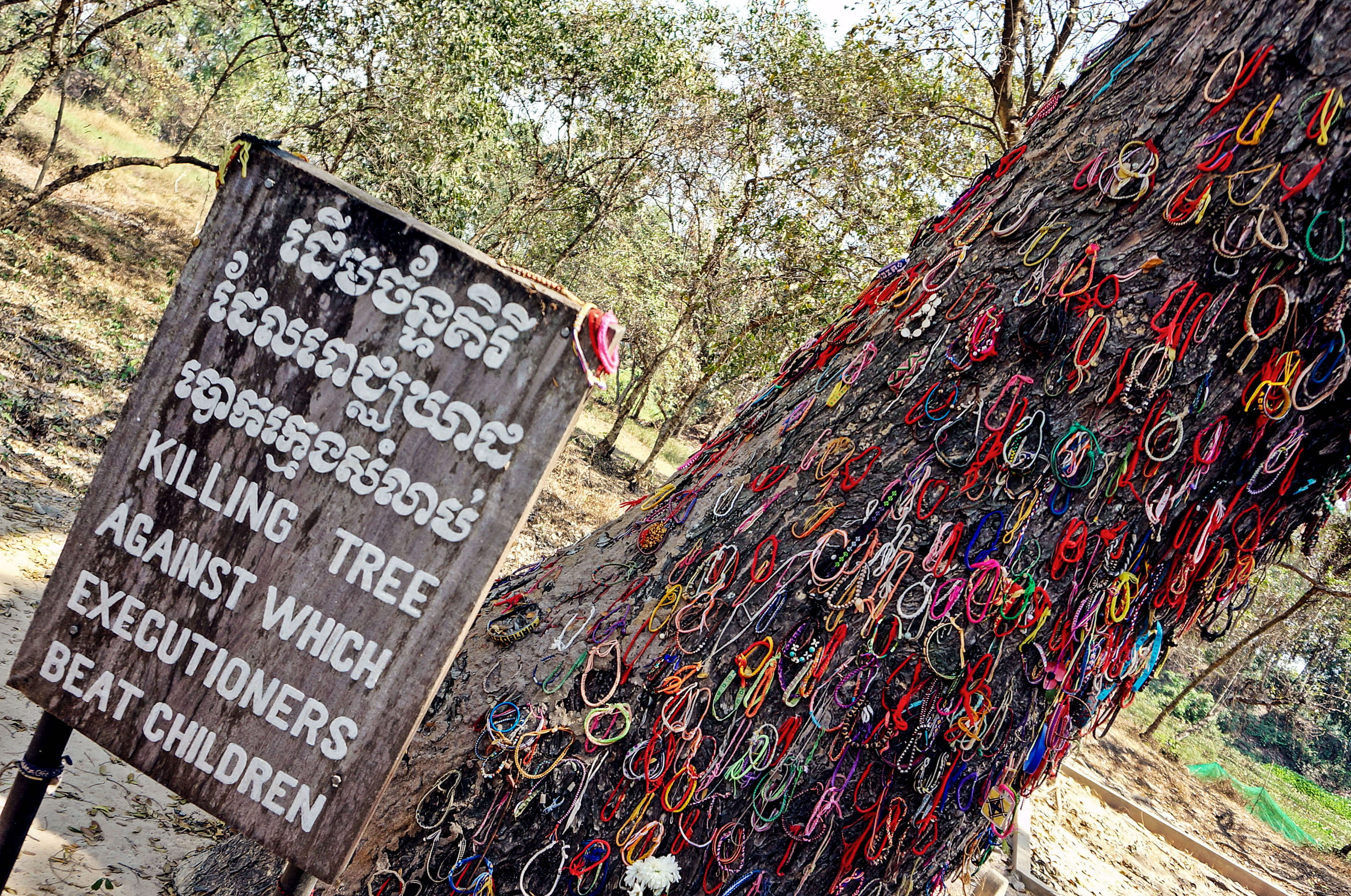 Ein Baum auf den Killing Fields in Kambodscha