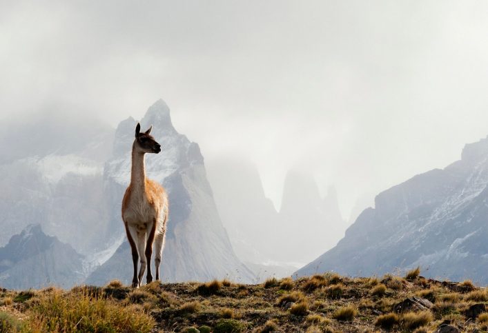 Patagonien bietet Profibackpackern eine unglaubliche Natur