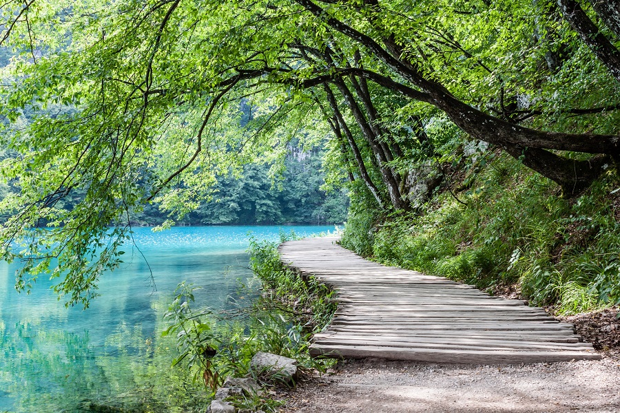 Natur im Nationalpark