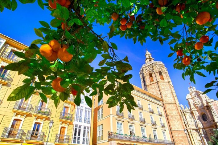 Am Plaza de la Virgen findet man neben der Kathedrale von Valencia die typischen Orangenbäume