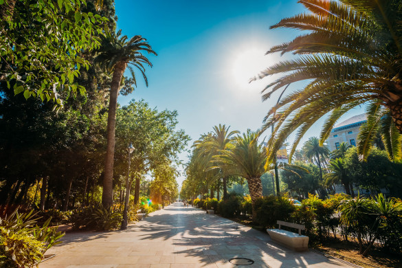 Malaga Park Natur 
