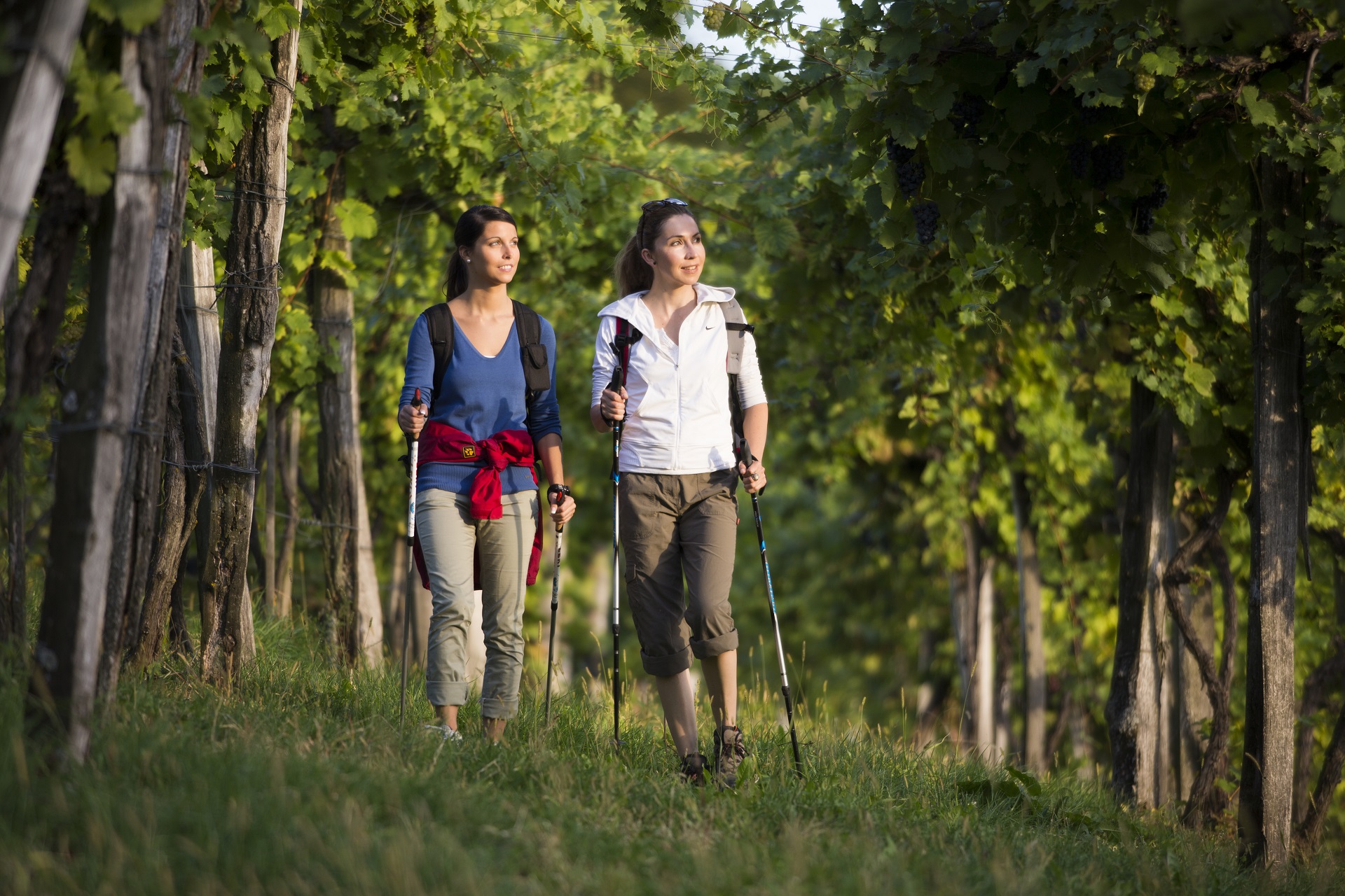 Genusswandern in der Oststeiermark