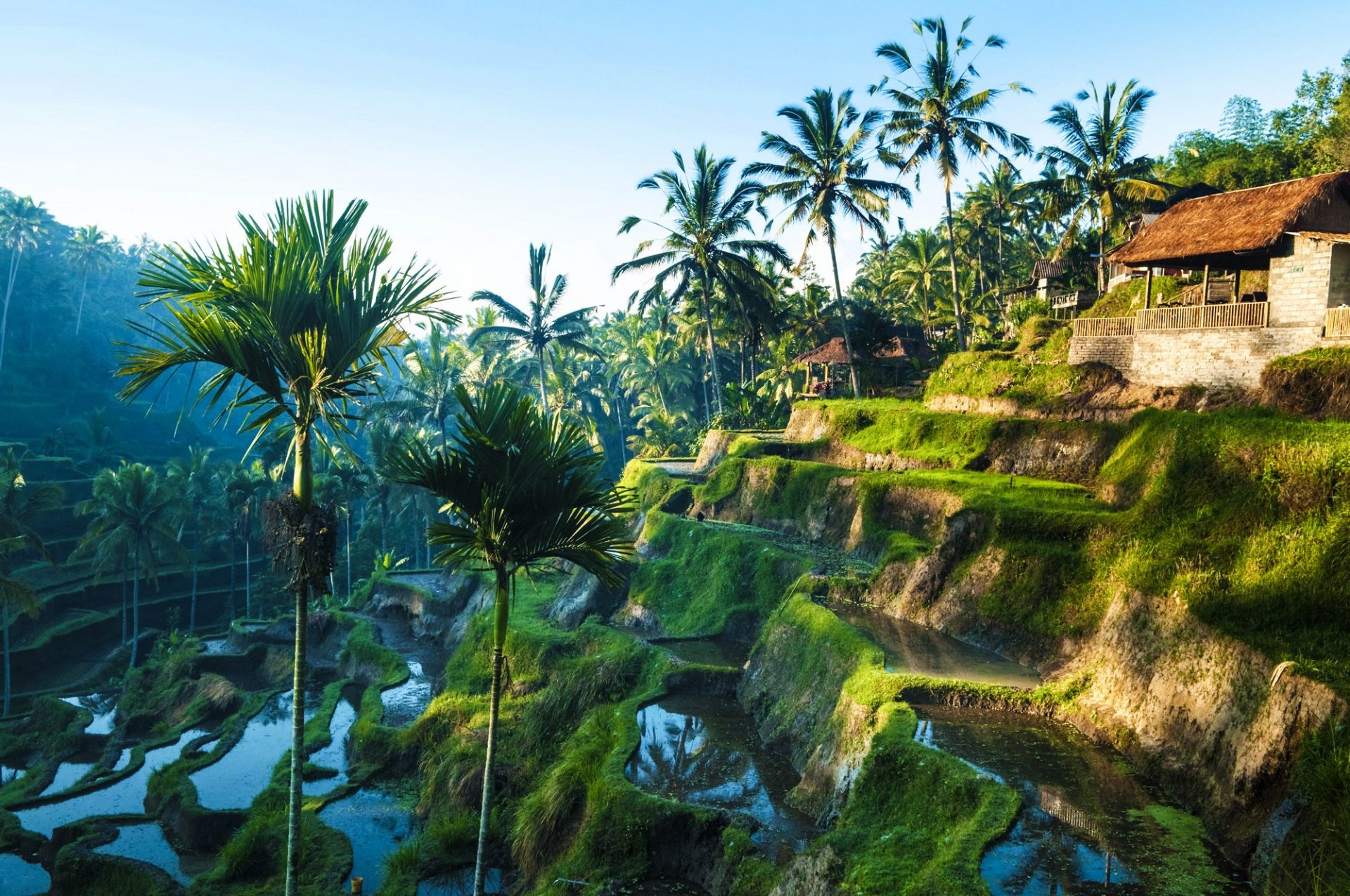 Das Tagebuch führt die Protagonistin Kate geradewegs nach Bali