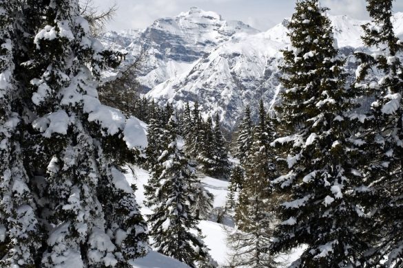 Wipptal Steinach, Bergeralm in Tirol