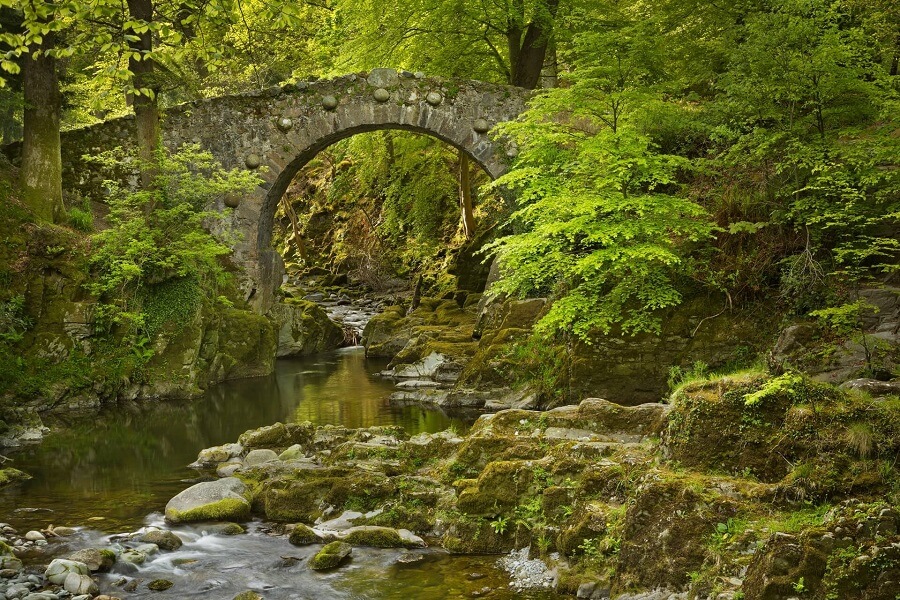 Der Tollymore Nationalpark