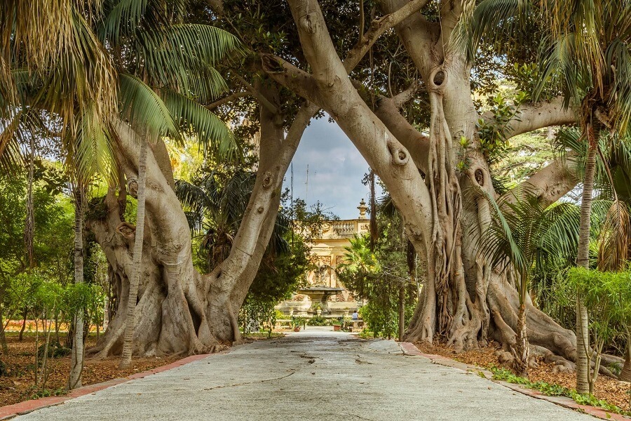 San Anton Palace