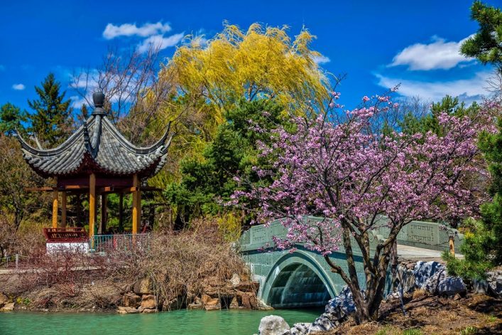 Japanese Garden