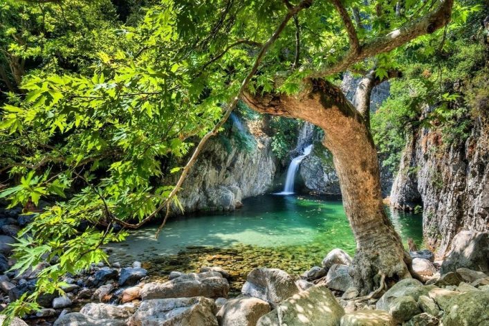 Dichter, grüner Baum mit ausladenden Ästen im Vordergrund; darunter klarer Fluss mit Wasserfall im Hintergrund, umgeben von Felsen und üppiger Vegetation, vermittelt Ruhe und Naturverbundenheit.