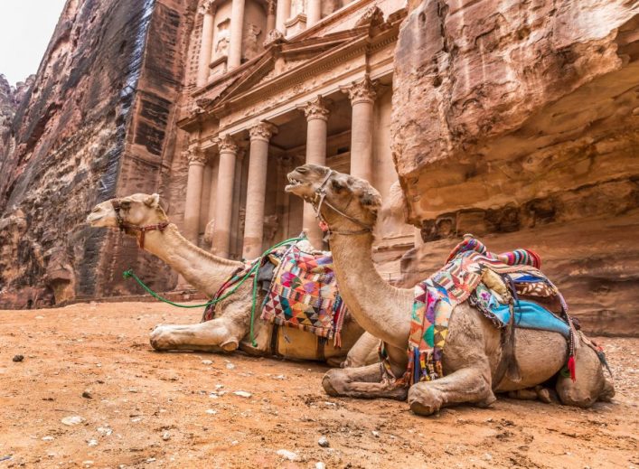 Schlafkamele_Schatzamtes_Al-Khazneh_Felsen-von-Petra_shutterstock_394081141