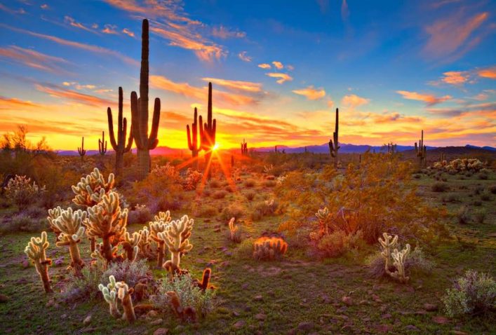 Sonora-Wueste-Arizona-iStock-604372030