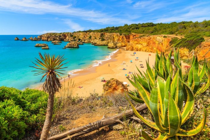 Klippen umrahmen einen goldenen Strand mit türkisfarbenem Meer, gesäumt von üppiger Vegetation. Im Vordergrund stehen exotische Pflanzen, während Menschen die Sonne und bunten Schirme am Strand genießen.