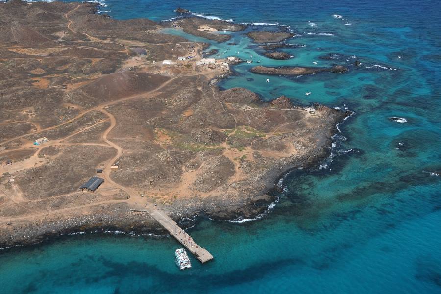 Isla del Lobos