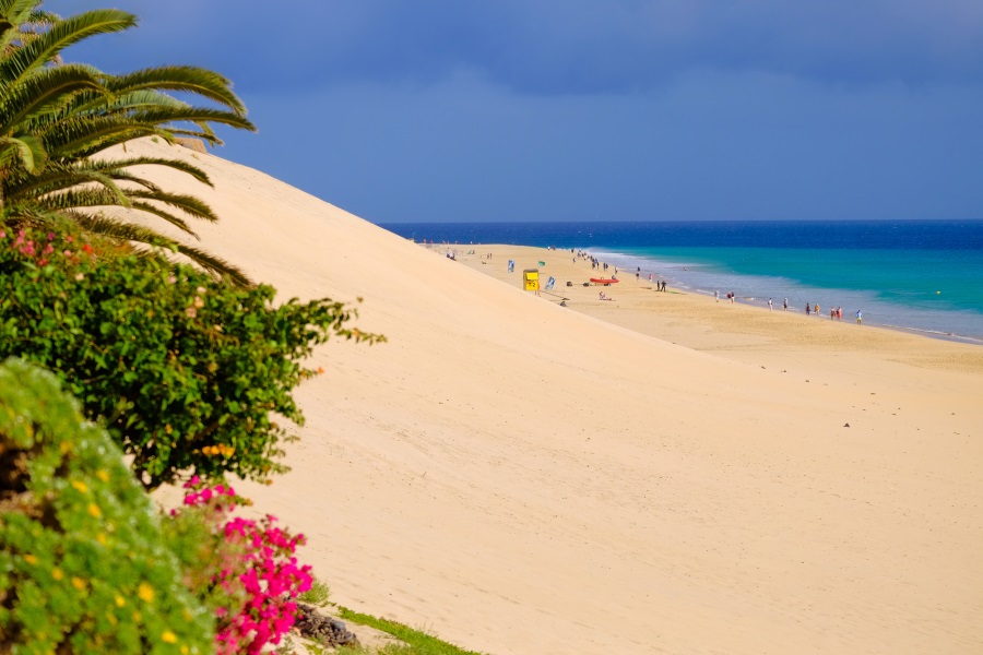 view-on-beach-playa-del-matorral-fuerteventura_shutterstock_1418667671_900x600