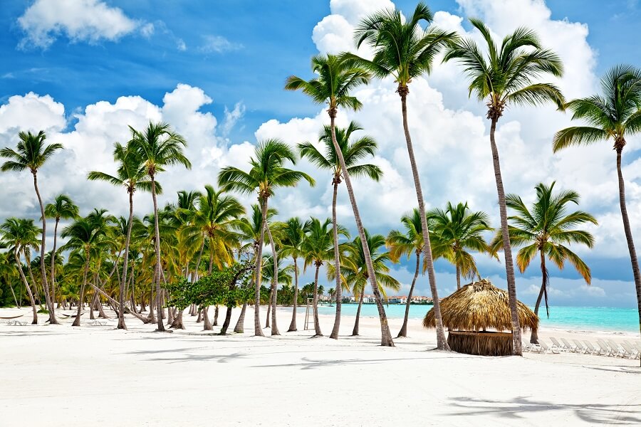 Viele Palmen, weißen Sand und das türkisblaue Meer. Strahlend blauer Himmel. Der klassische Traum von Ferien weit in der Ferne.