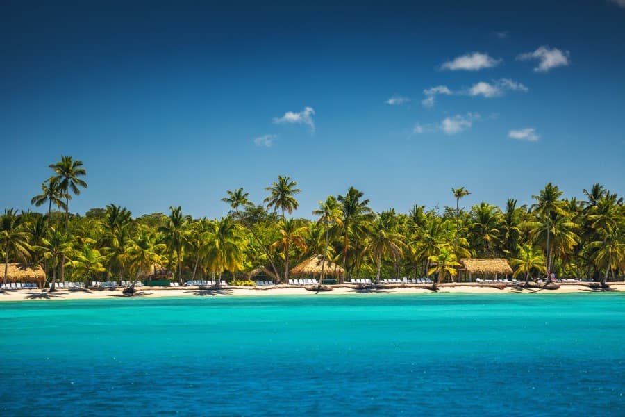 Ein paradiesischer Palmenstrand in der Dominikanischen Republik. Das Wasser im Vordergrund ist türkisblau und die Palmen saftig grün. Am Strand sind einzelne Hütten zu sehen und am Himmel sind vereinzelte Wolken.