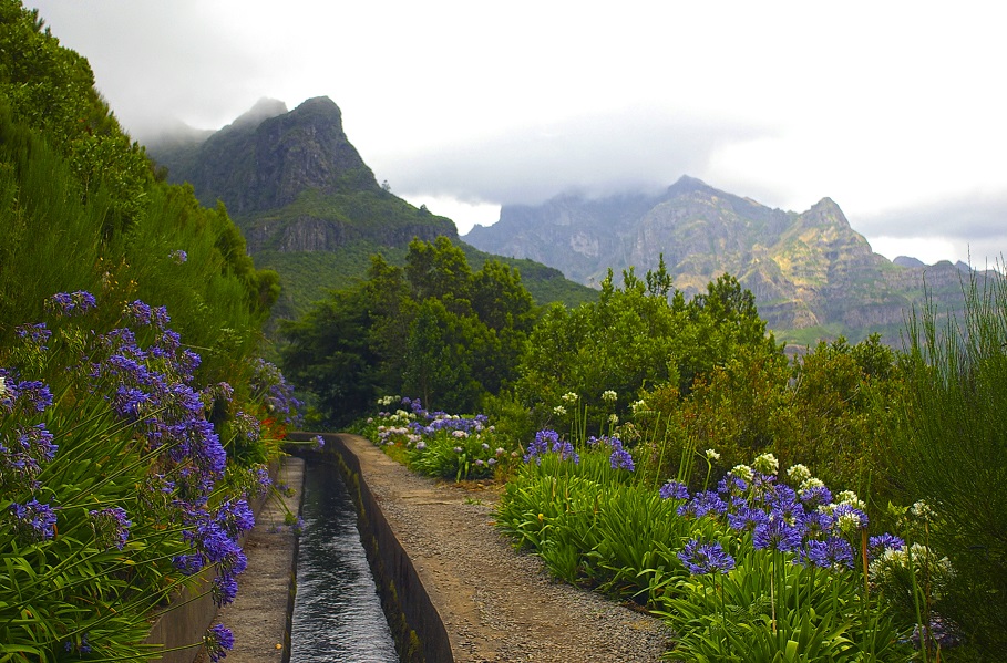 Bergige Landschaft Madeiras bei einem Aktivurlaub im April: ein Levada-Wanderweg, umgeben von üppiger Vegetation und lila Blumen, mit nebelverhangenen Gipfeln im Hintergrund.