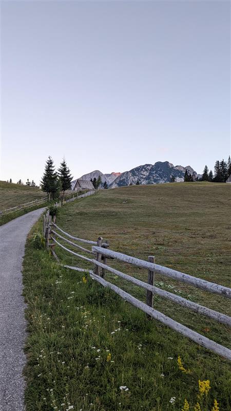 Kiesweg führt links an Holzzaun vorbei zu einer Hütte in der Ferne, flankiert von Wiesen mit gelben Blumen und hohen Tannen. Im Hintergrund erhebt sich ein bergiges Panorama unter klarem Himmel.