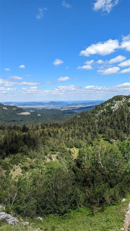 Weite, grüne Landschaft des Durmitor Nationalparks in Montenegro. Im Vordergrund dichter Wald, im Hintergrund Berge und ein blauer Himmel mit weißen Wolken. Im Mittelgrund sieht man weitere Wälder und Hügel.