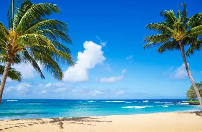 Strand und Palmen auf Hawaii